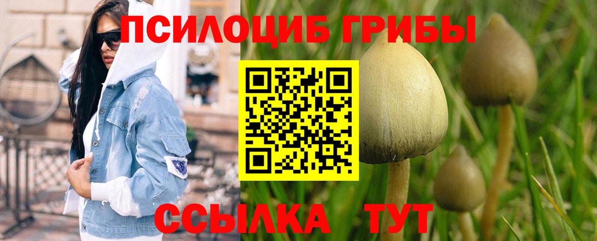 Галлюциногенные грибы прущие грибы Белорецк